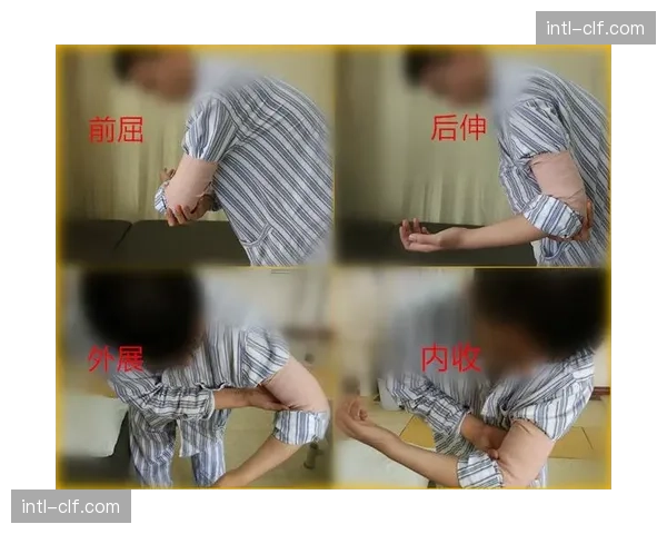 奥地利希望之星马蒂亚斯·弗吕克iger训练中锁骨骨折，无缘世锦赛